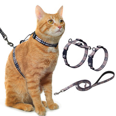 Hikiko arnés para gatos muestra ajuste correcto para evitar que se escapen durante el paseo.