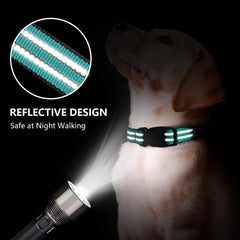 Hikiko cierre rápido para collar martingale, liberación segura en emergencias.