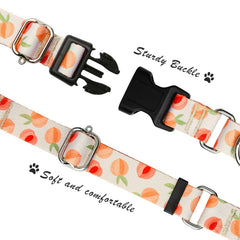 Hikiko Martingale Peach, detalle de ajuste, seguridad para salidas y entrenamiento.