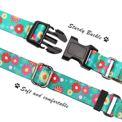 Hikiko Martingale collar con herrajes duraderos, resistencia ante tirones para paseos.