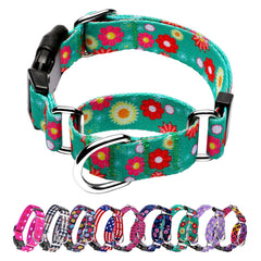 Hikiko Martingale collar para perros, vista frontal con diseño atractivo para uso diario.