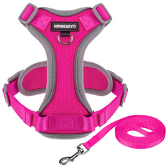 HIMNESEYO arnés pequeño de malla transpirable para paseos cómodos