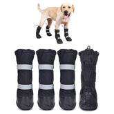 Botas Hipaw impermeables para perro en invierno protegiendo patas