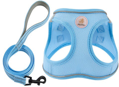 Arnés Hipubby para perro: ajuste perfecto para paseos cómodos.