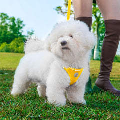 Arnés Hipubby para perro, enfoque en paso de entrada fácil para ponérselo.