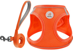 Arnés Hipubby con malla suave para paseos cómodos y transpirables.
