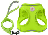 Arnés Hipubby para perros con diseño paso-en y malla suave.