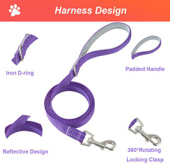 Arnés Hipubby con reflejo 360° para mayor visibilidad en salidas nocturnas.