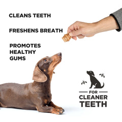 Hive Chews ingredientes naturales y proteína vegetal sin alérgenos comunes