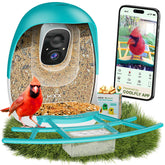 HIXX alimentador de aves con cámara: avistamiento en vivo desde tu teléfono