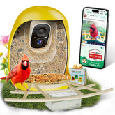 HIXX alimentador de aves con cámara: vista clara del diseño y uso sencillo.