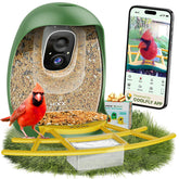 HIXX alimentador-aves-camara: visión en vivo para observar aves desde tu teléfono.