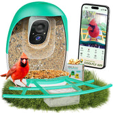 HIXX alimentador de aves con cámara para ver aves en vivo desde cualquier lugar