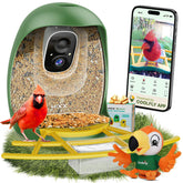 HIXX bebedero de pájaros con cámara en vivo para observar aves desde cualquier lugar.