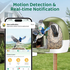 HIXX camara 2K, vision nocturna a color para observar aves con claridad.