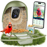 HIXX comedero aves camara en vivo para observar visitas desde tu telefono.