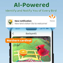 HIXX notificaciones en la app para ver cada avistamiento de aves.
