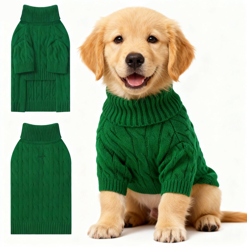 Hó Pêng-iú: suéter para perro pequeño frontal verde, abrigo cálido para paseos