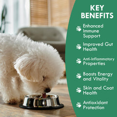 Holistic Bin Remolacha Polvo Nutritivo para Perro: aporta sabor suave y color natural.