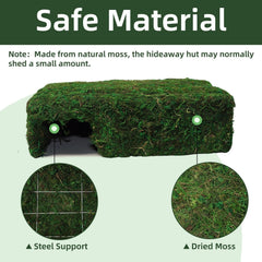 Hollima cueva de musgo para geckos con apariencia natural.