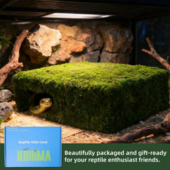 Hollima cueva de musgo para serpientes con protección natural.