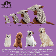 Hollypet Armadillo: diseño atractivo para elegir el personaje que coincide con la personalidad de tu mascota.