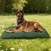 Cama para perros HOMBYS con remaches metálicos refuerza costuras.