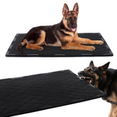 Cama HOMBYS para perros con ojales de metal, reforzada para masticación.