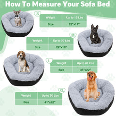 Cama HOMBYS ortopédica con reposacabezas para mayor comodidad.