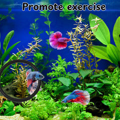 Homedy Crafts Espejo Flotante: estimula colores y movimientos del Betta
