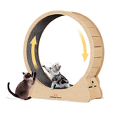 Homegroove Rueda Gatos XXXL 150 cm para felinos grandes y activos.