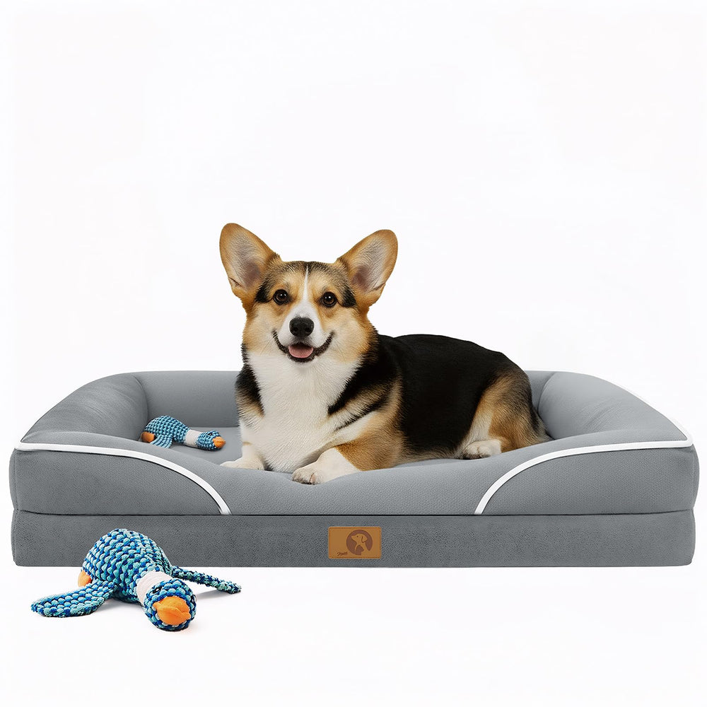 Homemate cama para perros ortopédica grande, vista frontal, soporte cómodo.