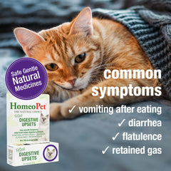 HomeoPet CHO04724: frasco morado listo para dosis en gatos con malestar digestivo.