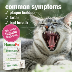 HomeoPet Feline Purr Dental, aplicación directa en boca, fácil de usar