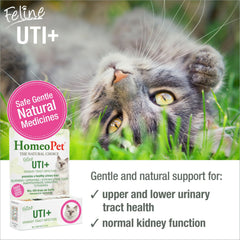 HomeoPet Feline UTI Plus etiqueta del producto para confianza natural