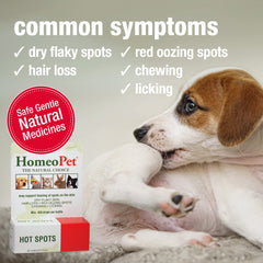 HomeoPet Hot Spots en gatos ofrece apoyo suave para la piel durante irritaciones.