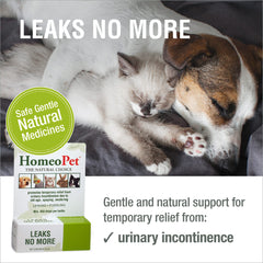 HomeoPet Leaks No More: dosis directa en la boca para uso diario