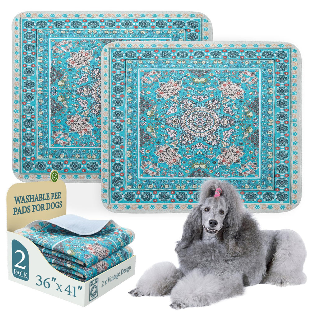 Homimp pad higiénico para perros, azul, 36x41, ideal para entrenamiento y absorción.