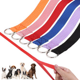 Homimp Slip Lead, correa de 6 pies en colores variados para manejo seguro.