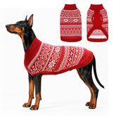Homimp sudadera perro Argyle frente, calor y estilo para paseos invernales.