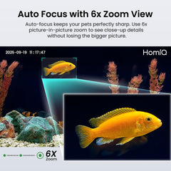HOMIQ LIFE detección inteligente con autoenfoque para alertas instantáneas