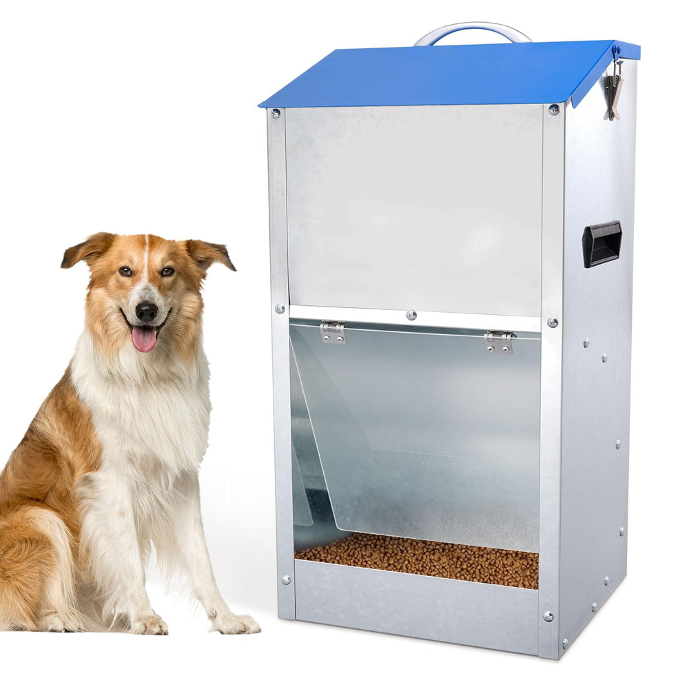 Homsky comedero automático para perros grandes con puerta transparente para ver la comida