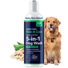 Honest Paws champú para perros 5 en 1: botella visible, limpieza suave y acondicionamiento.