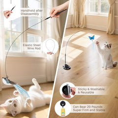 Aves coloridas de HONGDDY para gatos, ideal para ejercicio y entretenimiento diario