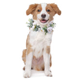 Honoson collar flor perro boda: accesorio elegante para fotos y momentos especiales