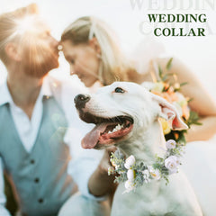 Honoson collar perro ajustable: ajuste cómodo para cuellos diferentes
