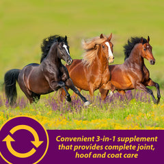 Horse Health Combinación glucosamina-condroitina: apoya lubricación y salud del cartílago.
