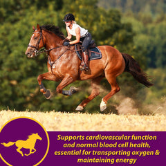 Horse Health Red Cell Pellets, lista de ingredientes clave para caballos
