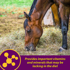 Horse Health Red Cell Pellets porción diaria fácil de usar