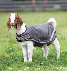 Horseware abrigo cabra 100 g ligero ajuste-cuello para comodidad.